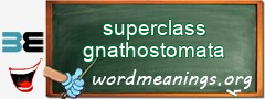 WordMeaning blackboard for superclass gnathostomata